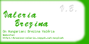 valeria brezina business card