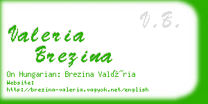 valeria brezina business card